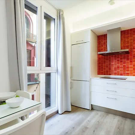 Apartment Friendly Rentals Capitan Eco